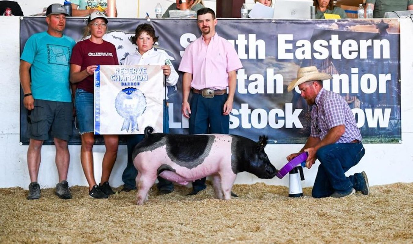 Reserve Grand Champion Market Hog , Southeastern Utah Junior Livestock Show
