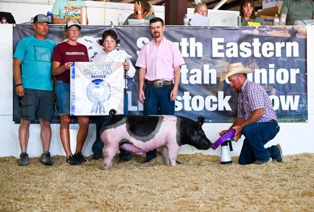 Reserve Grand Champion Market Hog , Southeastern Utah Junior Livestock Show