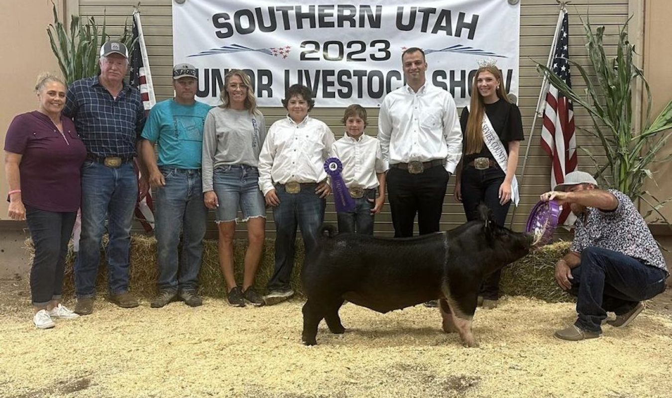 Grand Champion Overall Market Hog