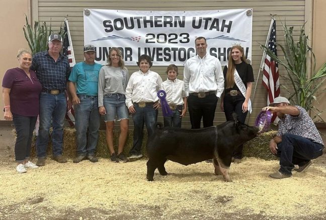 Grand Champion Overall Market Hog