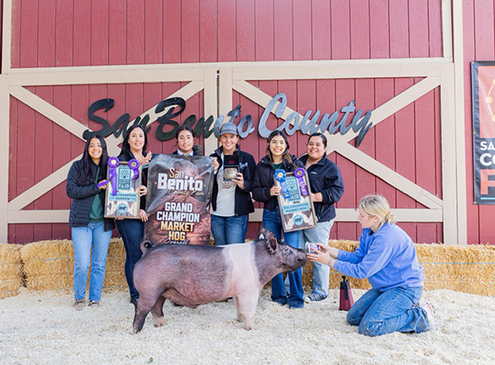 Grand Champion Market Hog, Champion FFA, San Benito County Fair